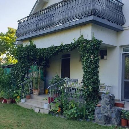 Ilona Apartmanok Balatonboglar Luaran gambar