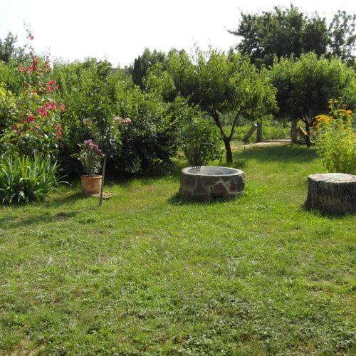 Ilona Apartmanok Balatonboglar Luaran gambar