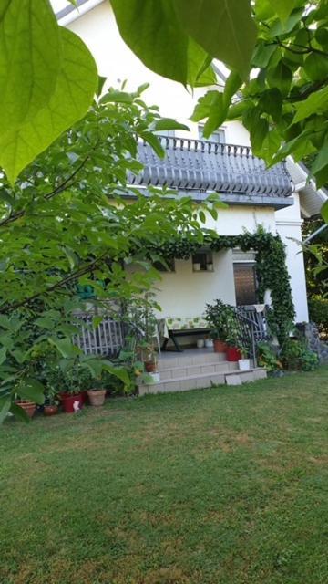 Ilona Apartmanok Balatonboglar Luaran gambar
