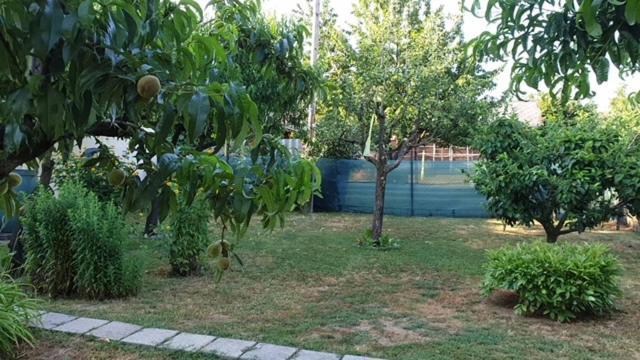 Ilona Apartmanok Balatonboglar Luaran gambar